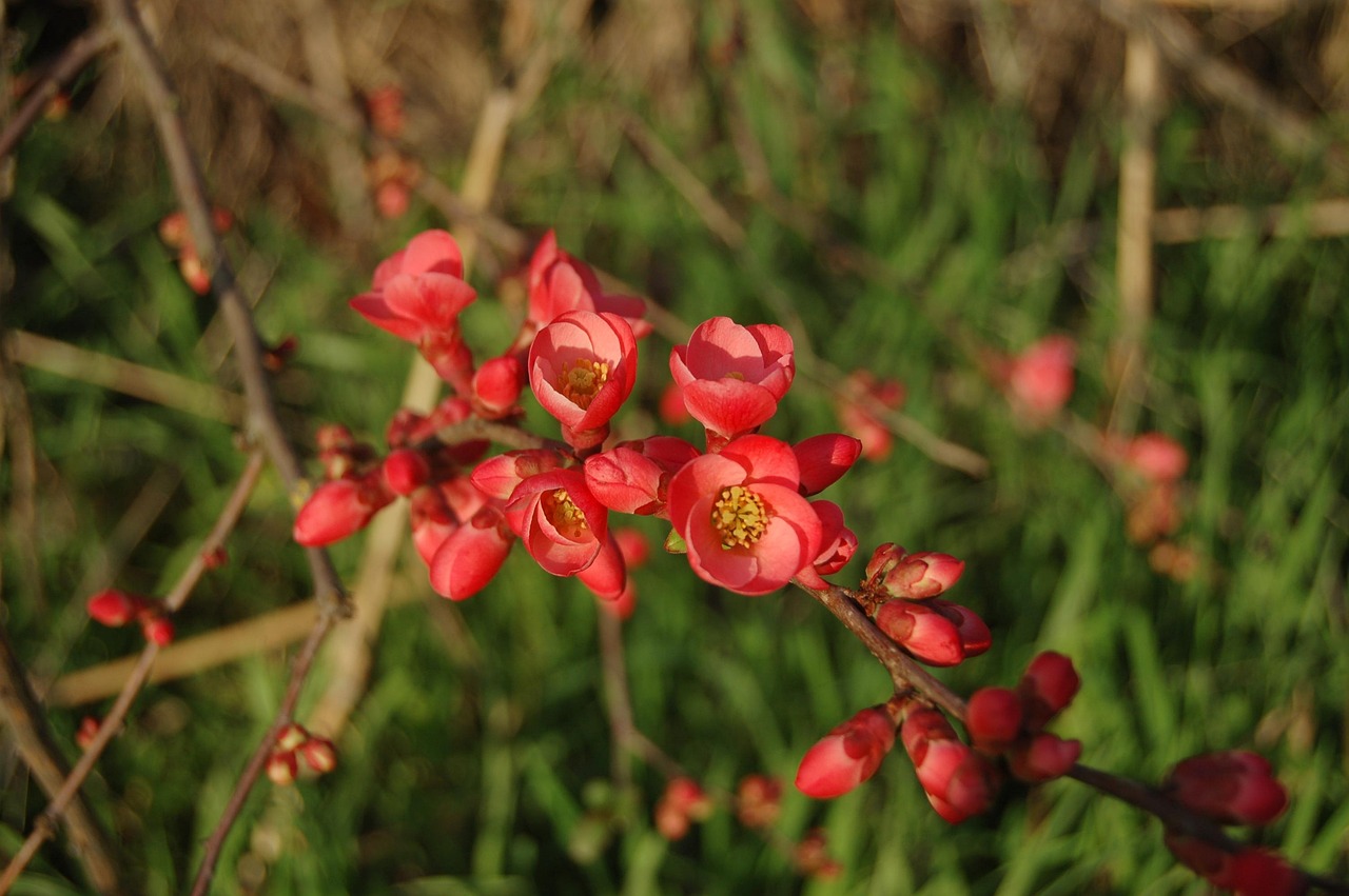 長(cháng)治花園歌城最新動(dòng)態(tài)報道，最新消息一覽