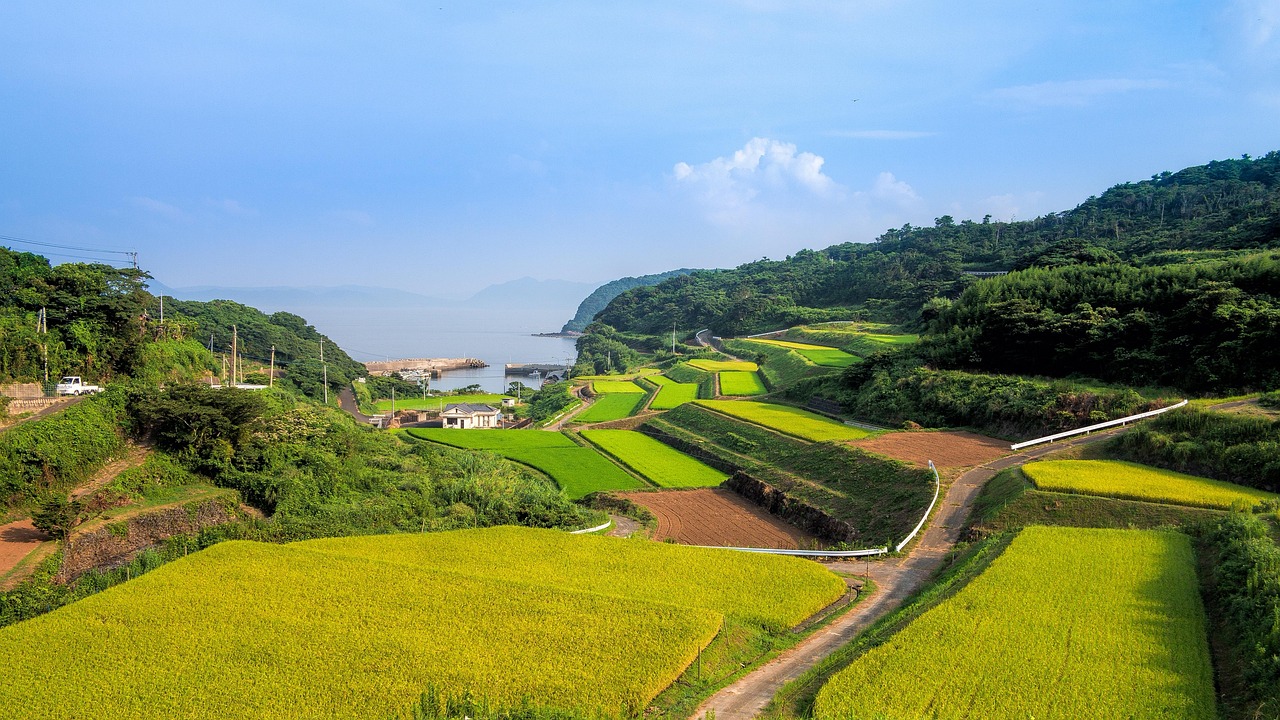 廣西靈山高速建設進(jìn)展揭秘，最新消息與未來(lái)展望