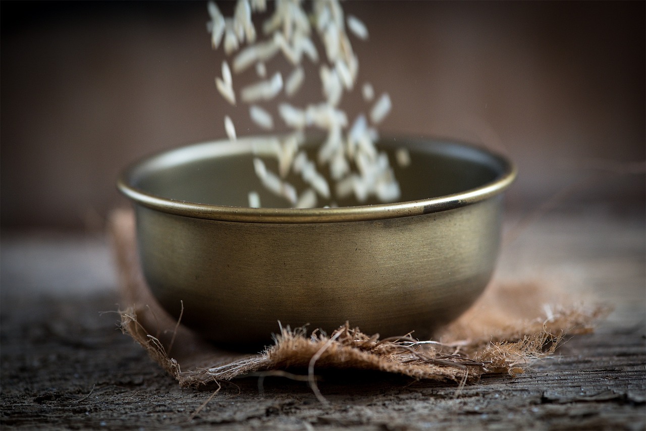 王樹(shù)勤在承德，最新發(fā)展動(dòng)態(tài)及消息解讀