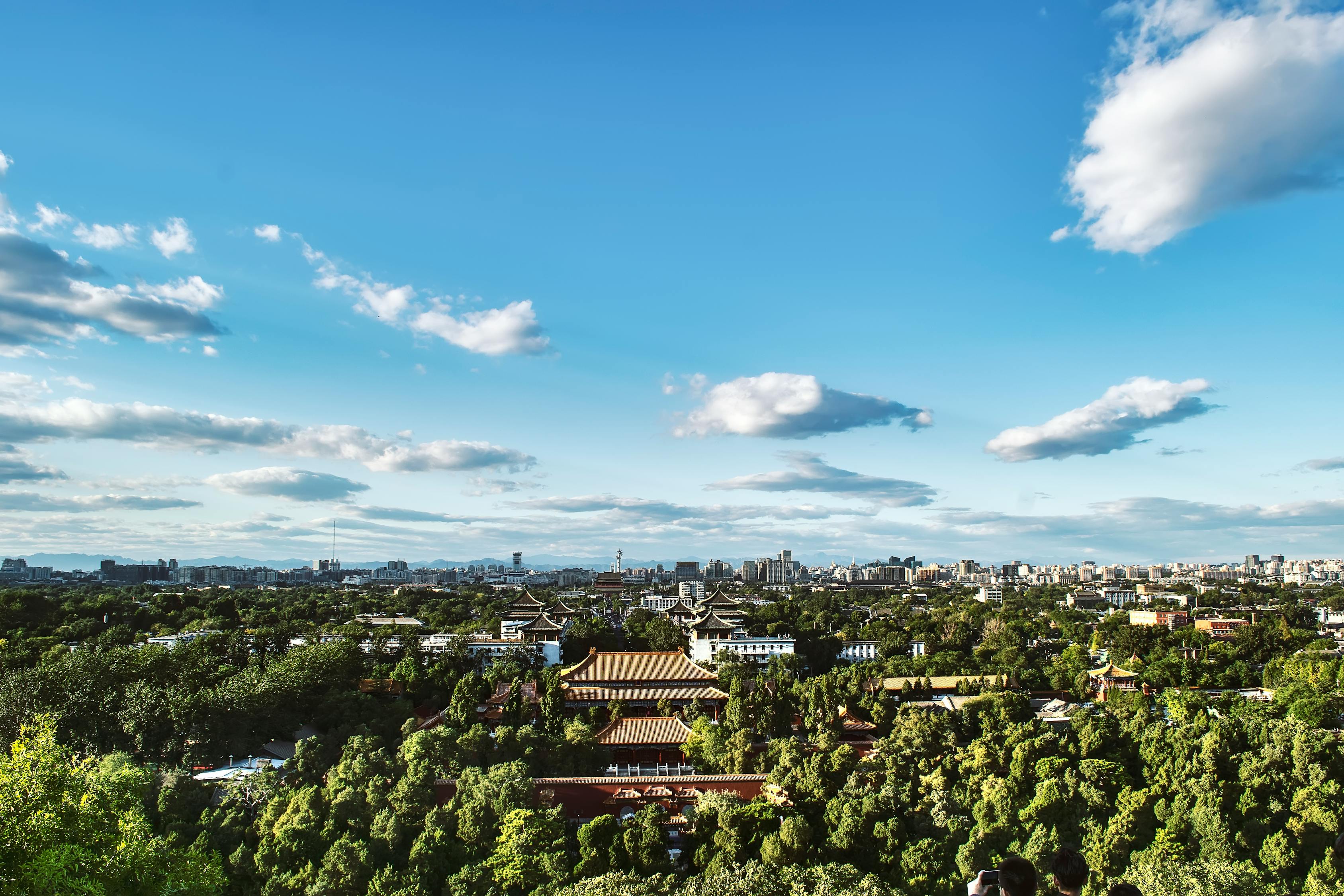 長(cháng)沙洞井路最新動(dòng)態(tài)，城市發(fā)展與民生改善同步前行