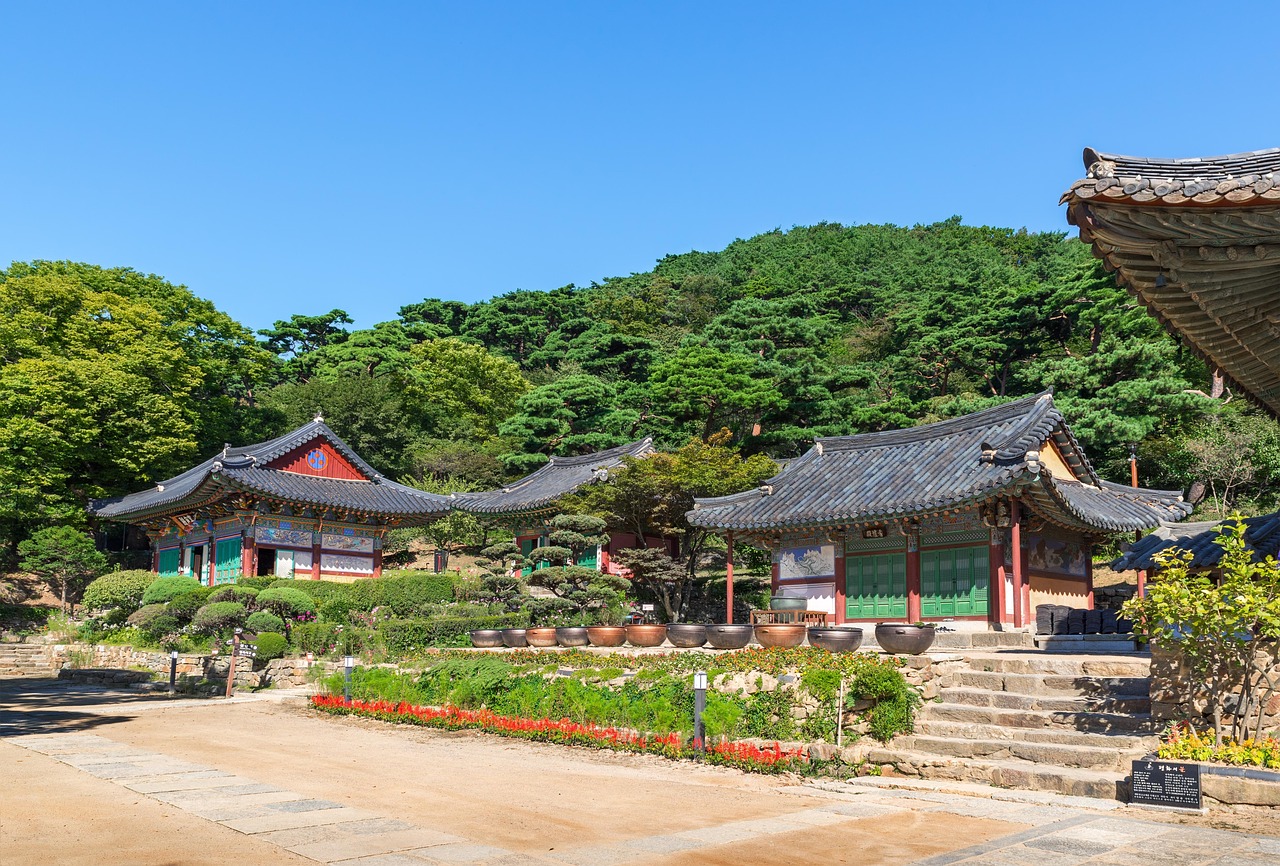 廣饒四季花城，繁榮盛景與未來(lái)期待揭秘