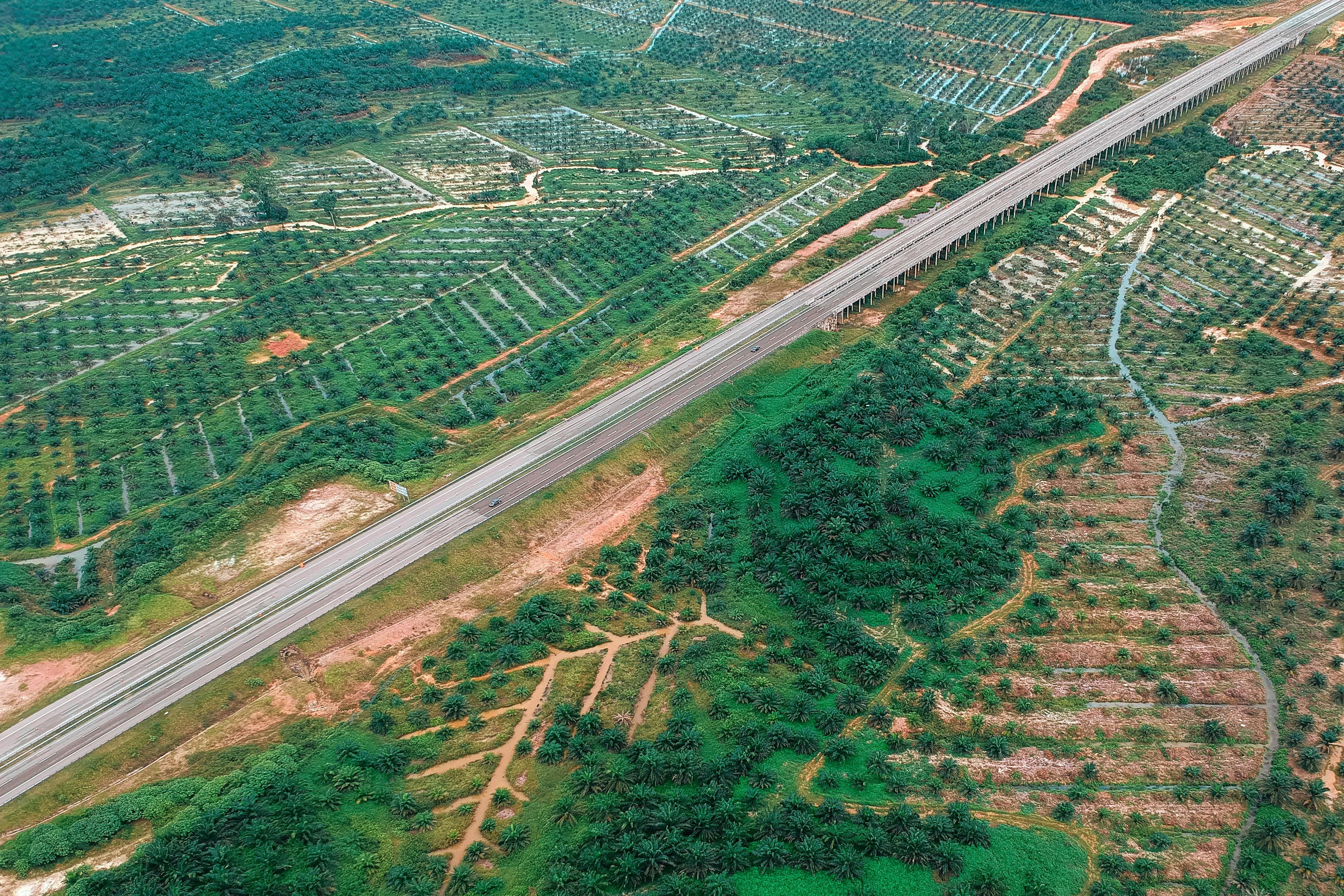 興富高速公路最新進(jìn)展報告更新，建設進(jìn)度一覽