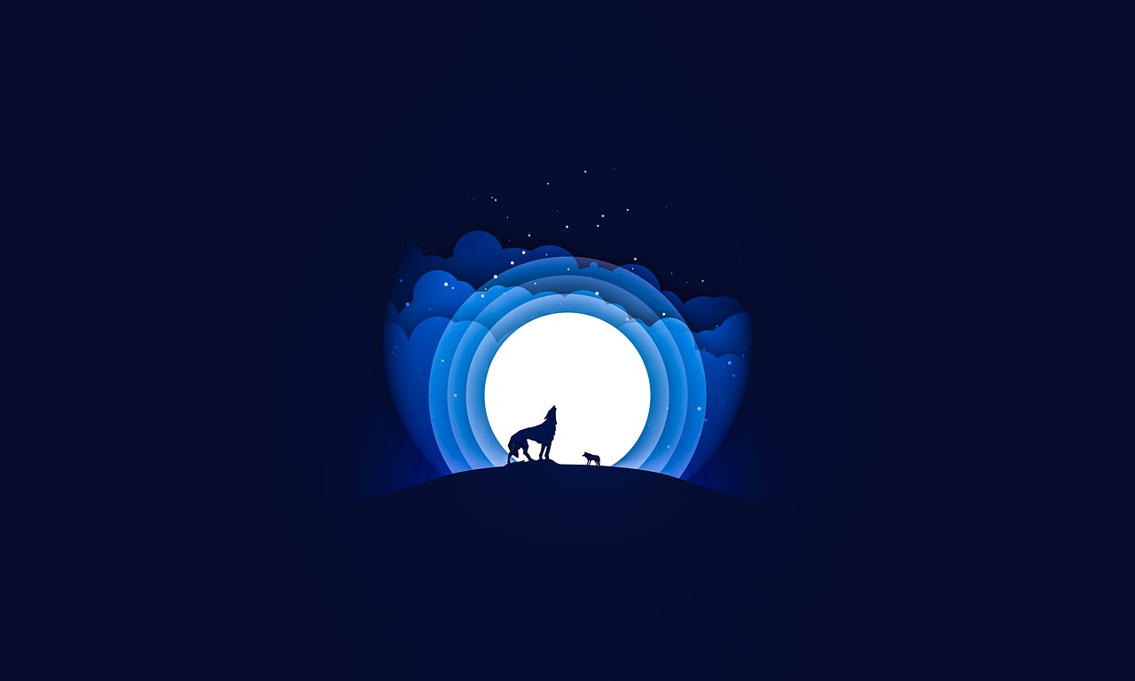 夜狼直播最新版本下載攻略，指南與體驗分享