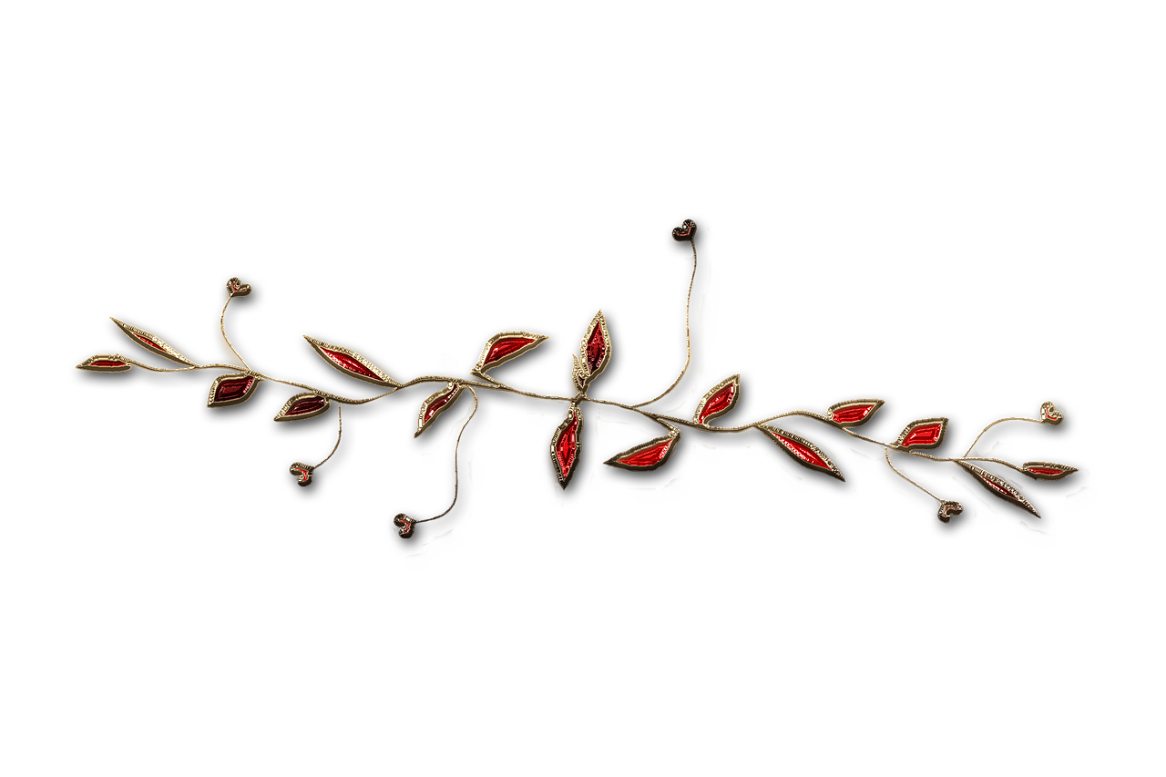 廣西大紅八角產(chǎn)業(yè)蓬勃發(fā)展，前景廣闊，最新消息與動(dòng)態(tài)