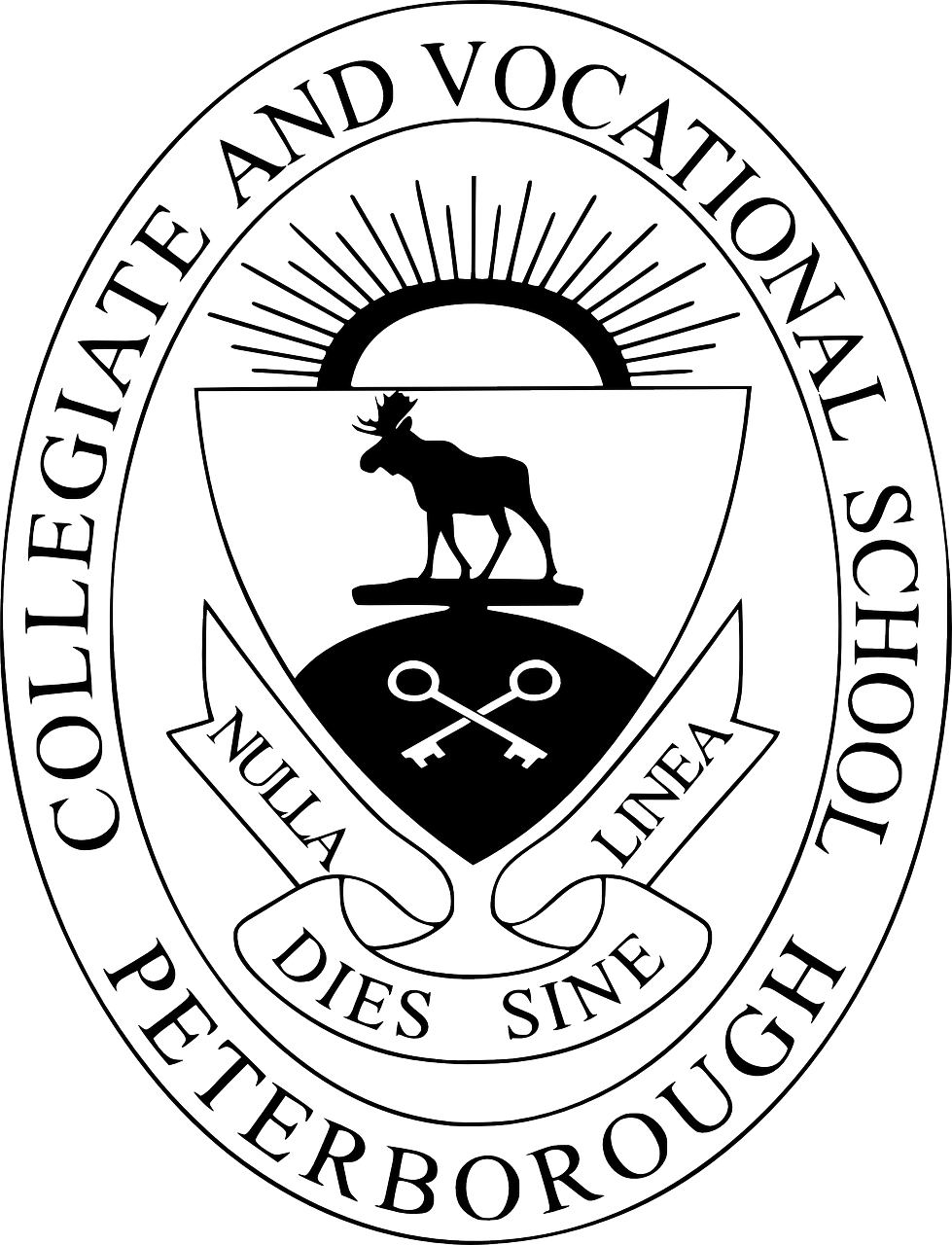 共青城大學(xué)城蓬勃發(fā)展，教育新篇章的最新消息