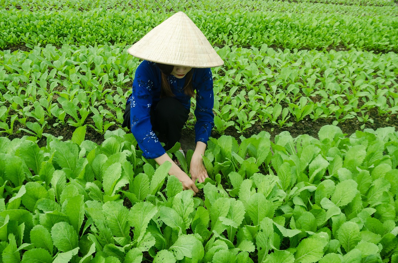 戶(hù)戶(hù)通四代機最新動(dòng)態(tài)概覽